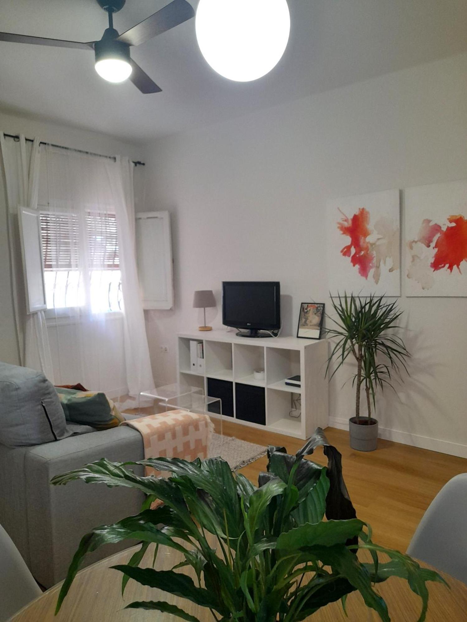 Apartamento Amar-Cura Málaga Eksteriør billede